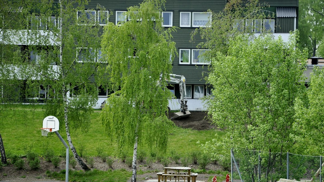 Lekterapiens Rolle I Tidlig Intervensjon