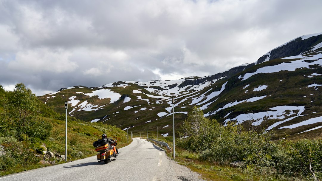 Motorisen Koordinoinnin Häiriöt Ja Autismi