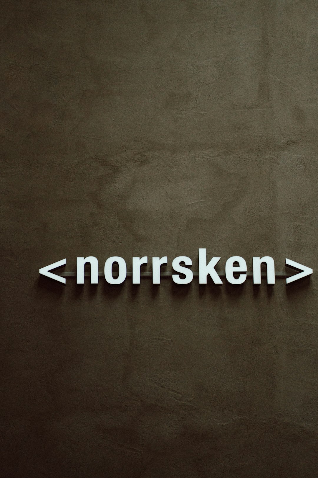 Näringsstatusens Inverkan På Neuroutveckling