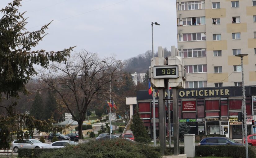 Otizm Spektrumunda Yetişkinlik Deneyimleri