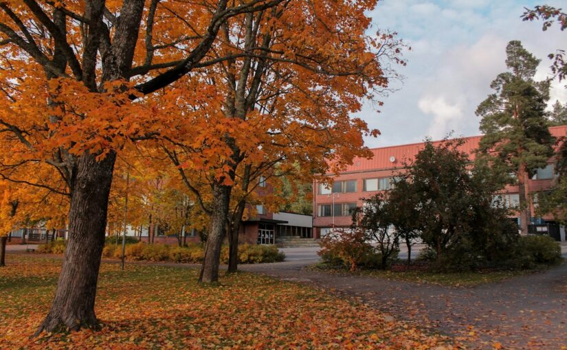 Övergripande Stödplaner För Komplexa Fall