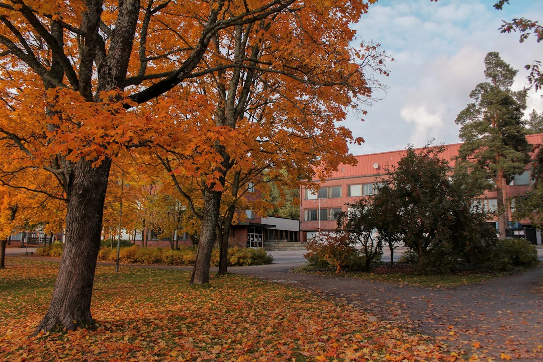 Övergripande Stödplaner För Komplexa Fall
