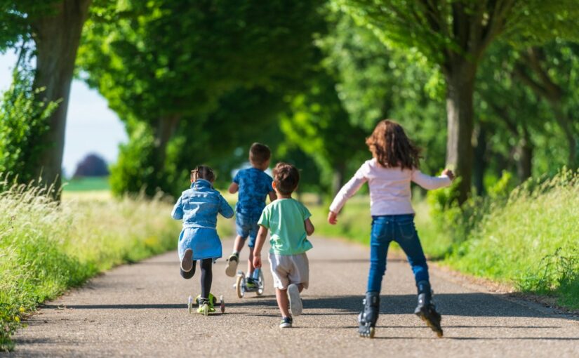 Peer Relaties En Pesten Bij Kinderen RAADS-R
