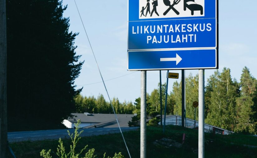 RAADS-R RAADS-R Ja Sosiaalisten Signaalien Lukeminen