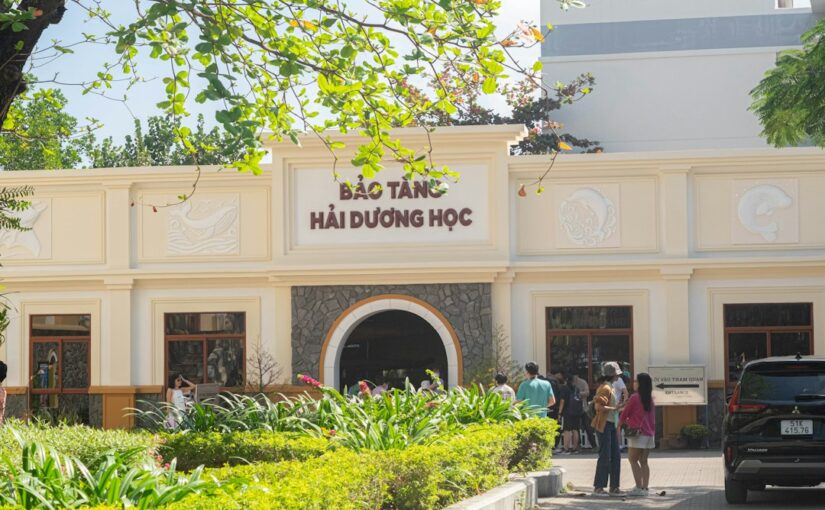 Tác Động Chấn Thương Não