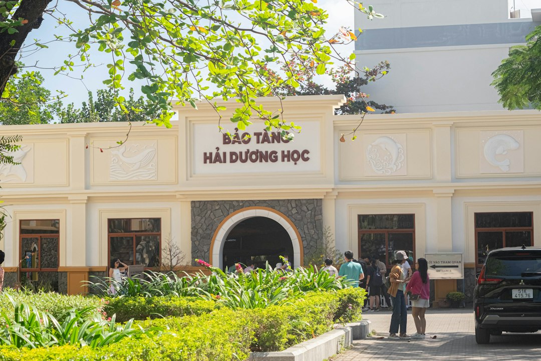 Tác Động Chấn Thương Não