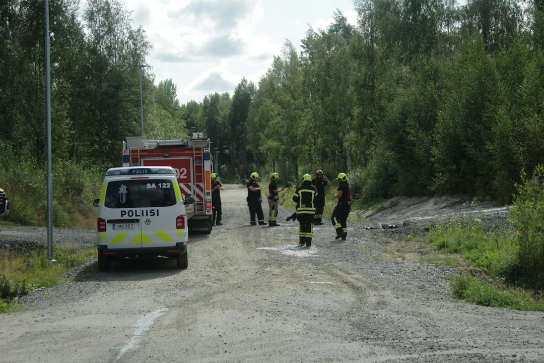 Varhainen Interventio Ja Sen Vaikutukset