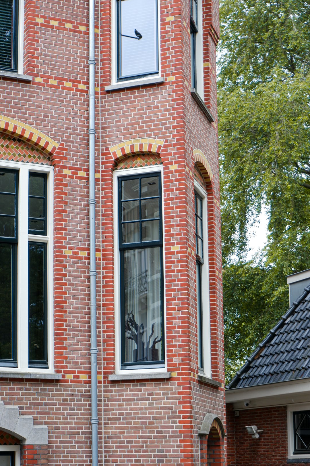 Volwassenen Autismespectrum Profielen Met RAADS-R