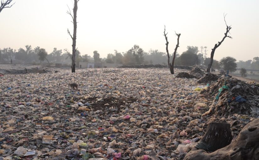 पर्यावरणीय विषाक्तता और प्रभाव