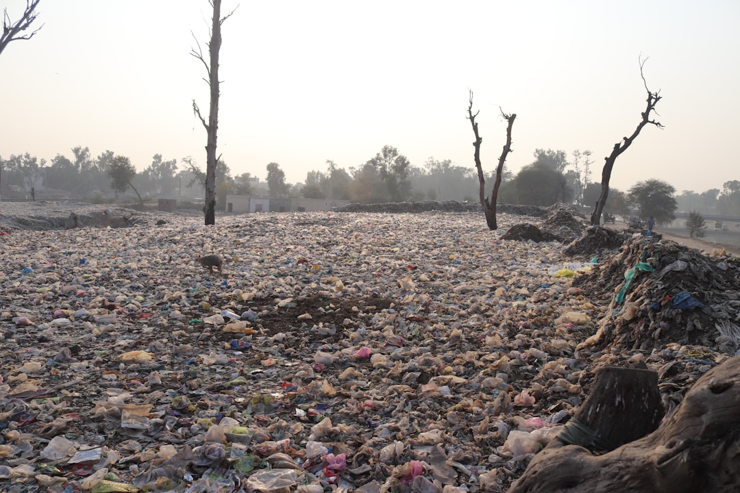 पर्यावरणीय विषाक्तता और प्रभाव