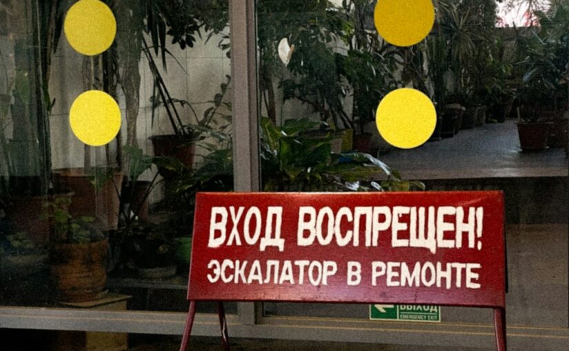 Влияние Токсинов И Экспозиции На Развитие