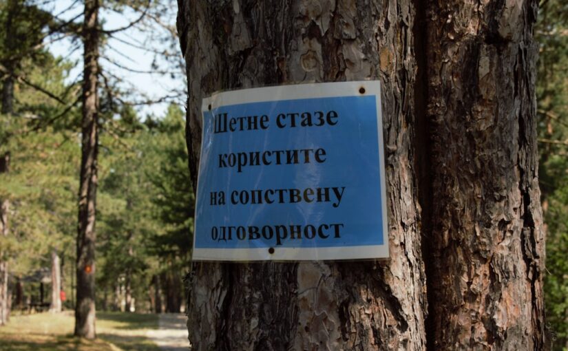 Экологические Экспозиции И Их Последствия
