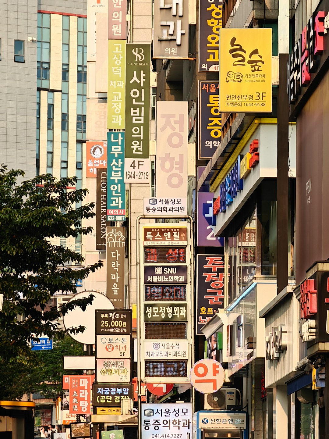 신경전달물질 불균형 이론 소개
