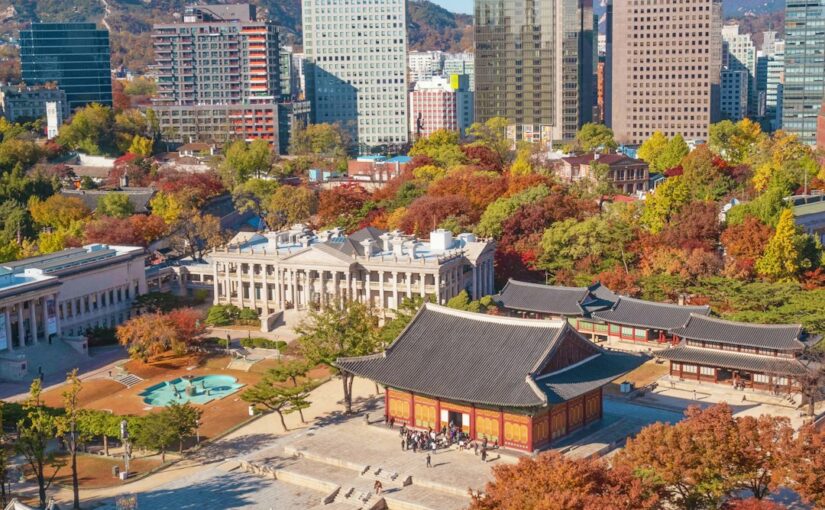 외출과 여행 준비 체크리스트