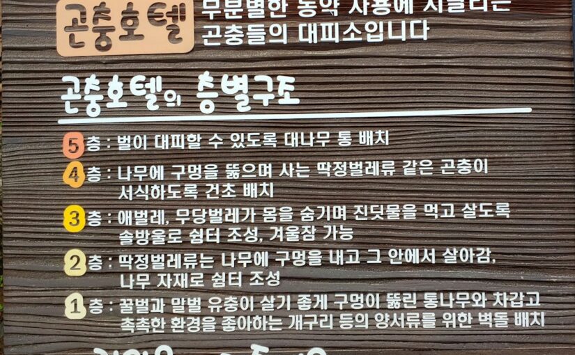 진단 보완을 위한 다원적 검토 방법