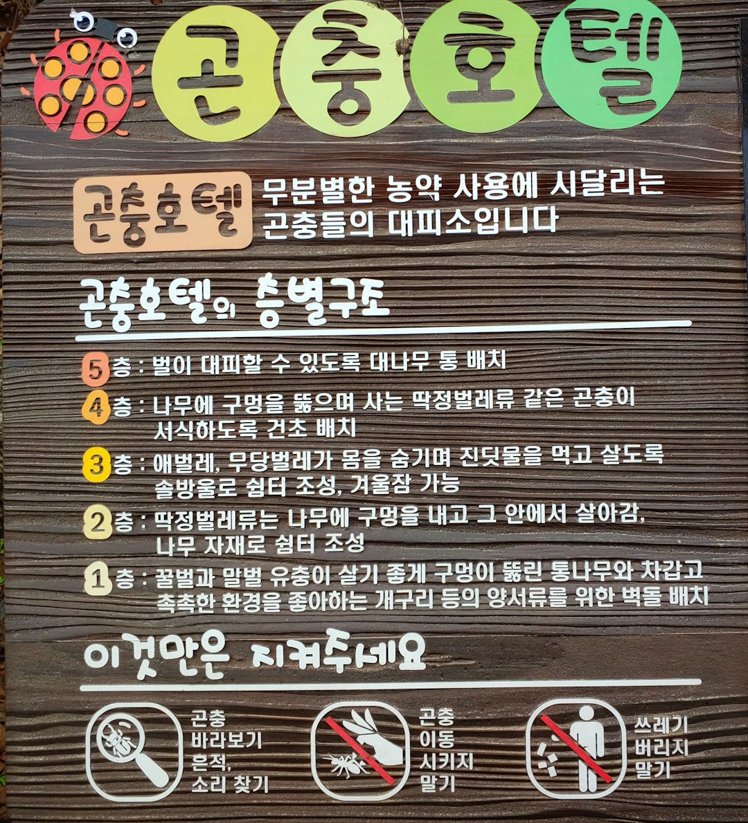 진단 보완을 위한 다원적 검토 방법