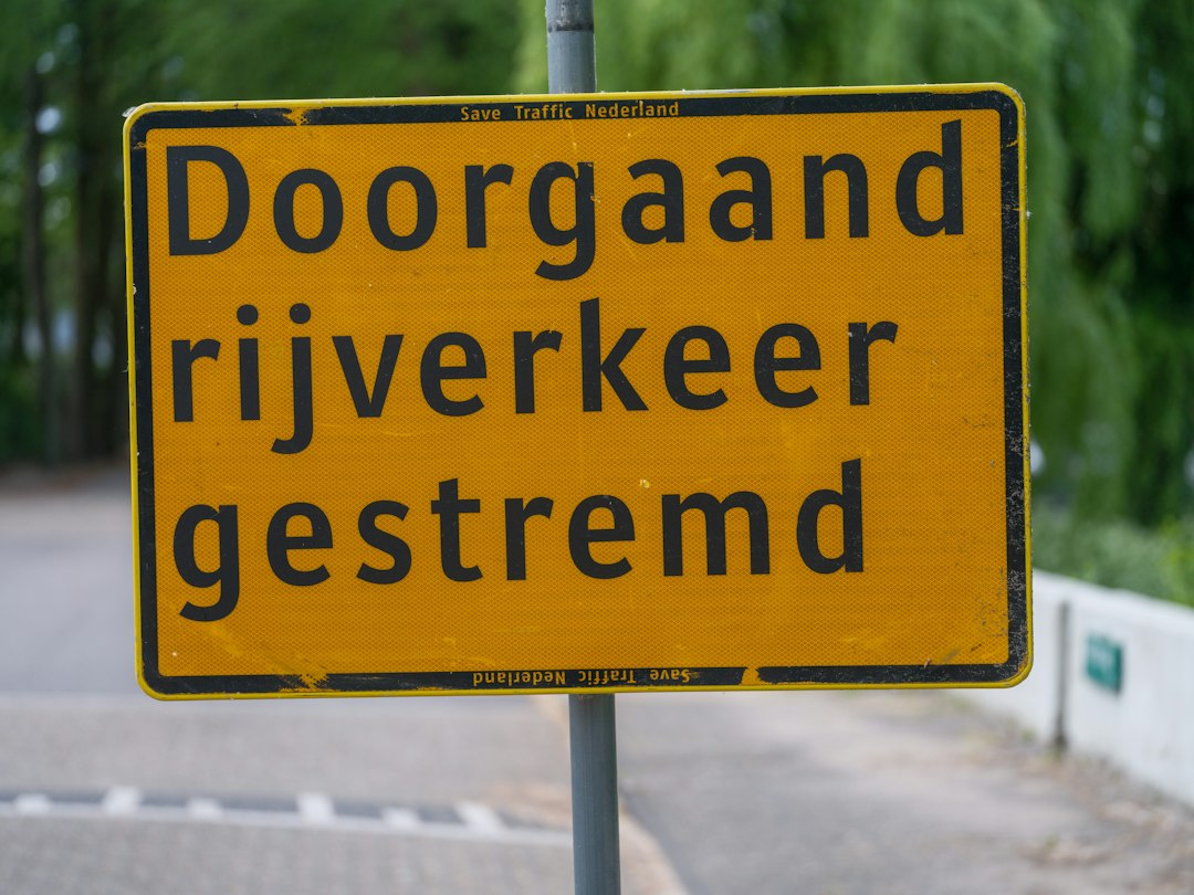 RAADS-R Versies En Aanpassingen Samengevat